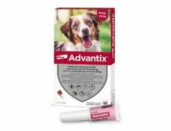 Bayer Advantix Spot-On Hunde 10-25 Kg 1 X 2,5 Ml
