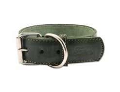 Lederhalsband TAMER 5 / 65 Cm Grün