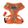 Hundegeschirr Puppia Lineage A Orange