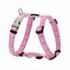 Red Dingo Breezy Love Pink Medium Hundegeschirr