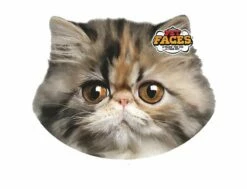 Kissen 3D Für Hund Oder Herrchen - Persian Cat