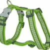 Red Dingo Reflective Lime Large Hundegeschirr