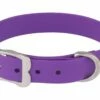 Red Dingo VIVID Lila Hundehalsband 56 - 66 Cm