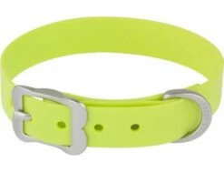 Red Dingo VIVID Lime Hundehalsband 48 - 58 Cm