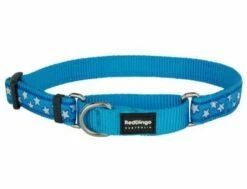 Red Dingo Stars White On Turquoise Large Schlupfhalsband
