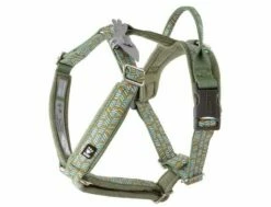 Hundegeschirr Hurtta Razzle Dazzle Grün