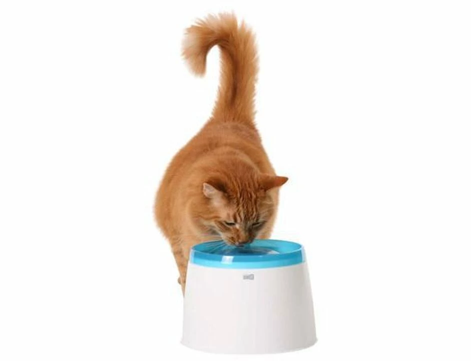 Trinkbrunnen Catit Fresh - Clear Blau 1 Trinkbrunnen Catit Fresh - Clear Blau