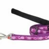 Red Dingo Breezy Love Purple Hundeleine 20 Mm X 1,8 M Medium