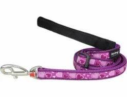 Red Dingo Breezy Love Purple Hundeleine 20 Mm X 1,8 M Medium
