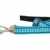 Red Dingo Reflective Turquoise Hundeleine 25 Mm X 1,8 M Large