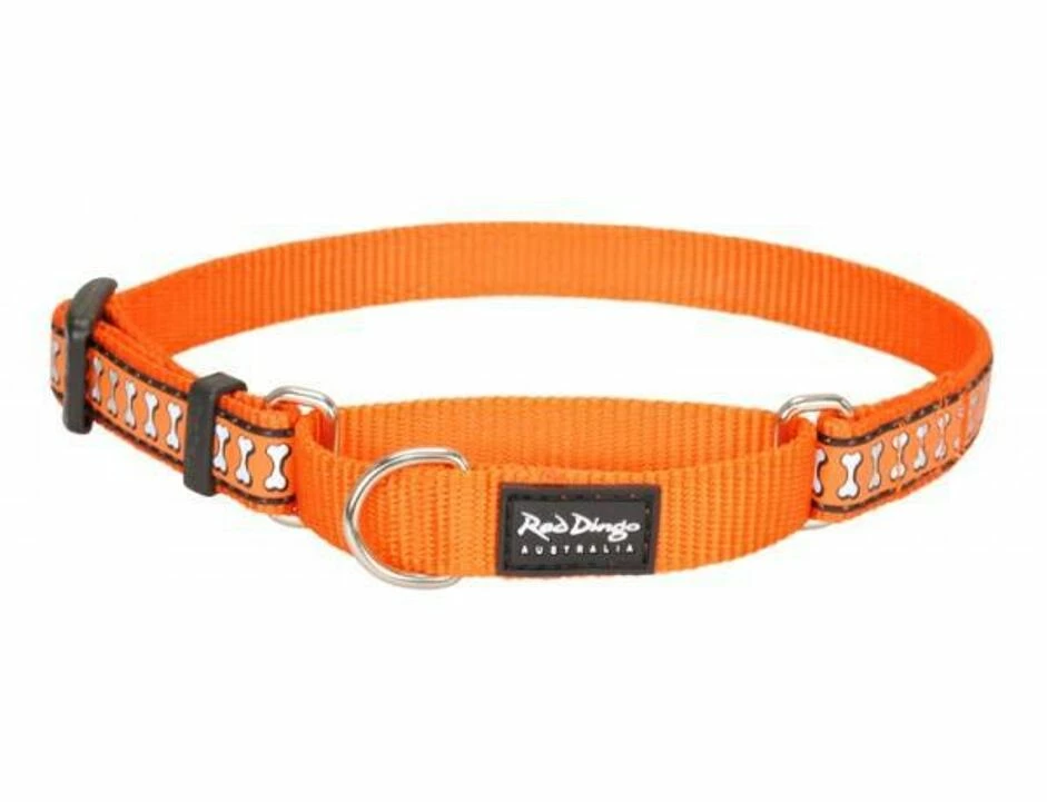 Red Dingo Reflective Orange Large Schlupfhalsband 41 - 62 Cm 1 Red Dingo Reflective Orange Large Schlupfhalsband 41 - 62 Cm
