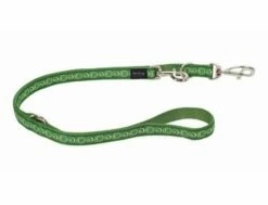 Red Dingo Cosmos Green Führleine 25 Mm X 2 MLarge