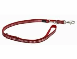 Red Dingo Reflective Red Führleine 20 Mm X 2 M Medium