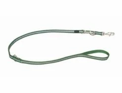 Red Dingo Reflective Green Führleine 12 Mm X 2 M Small