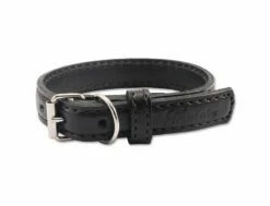 Lederhalsband TAMER 2,5 / 50 Cm Schwarz
