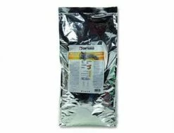 ONTARIO Adult Indoor 10 Kg