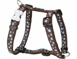 Red Dingo Blue Spots Brown Medium Hundegeschirr