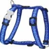 Red Dingo Cosmos Blue Medium Hundegeschirr