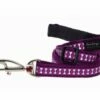 Red Dingo Reflective Purple Hundeleine 25 Mm X 1,8 M Large