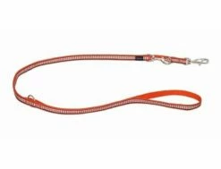 Red Dingo Reflective Orange Führleine 12 Mm X 2 M Small