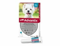 Bayer Advantix Spot-On Hunde 4-10 Kg 1 X 1,0 Ml