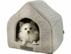 Trixie Vital Höhle Noah