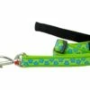 Red Dingo Stars Turquoise On Lime Green Hundeleine 20 Mm X 1,8 M Medium