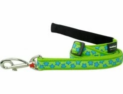 Red Dingo Stars Turquoise On Lime Green Hundeleine 20 Mm X 1,8 M Medium