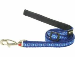 Red Dingo Cosmos Blue Hundeleine 20 Mm X 1,8 M Medium