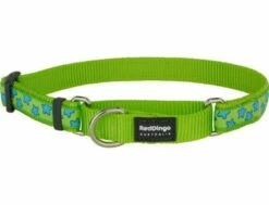 Red Dingo Stars Turquoise On Lime Green Large Schlupfhalsband 41 - 62 Cm