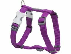 Red Dingo Purple Medium Hundegeschirr