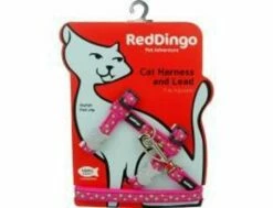 Katzengeschirr Red Dingo Stars Lime On Hot Pink