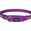 Red Dingo Daisy Chain Purple Large Schlupfhalsband 41 - 62 Cm