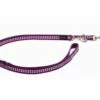 Red Dingo Reflective Purple Führleine 20 Mm X 2 M Medium