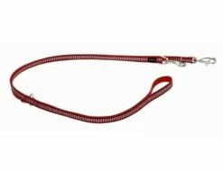 Red Dingo Reflective Red Führleine 12 Mm X 2 M Small
