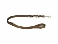 Red Dingo Brown Führleine 20 Mm X 2 M Medium