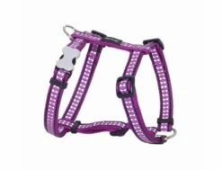 Red Dingo Reflective Purple Medium Hundegeschirr