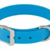 Red Dingo VIVID Blau Hundehalsband 48 - 58 Cm