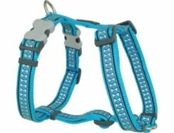 Red Dingo Reflective Turquoise Small Hundegeschirr