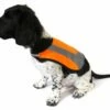 Reflektierende Weste Für Hunde ORANGE - L