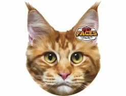 Kissen 3D Für Hund Oder Herrchen - Maine Coon Cat