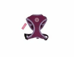 Hundegeschirr Pinkaholic Venus Superior Purple