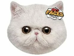 Kissen 3D Mit Druck - Maine Coon Katze