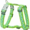 Red Dingo Stars Turquoise Lime Green XL Large Hundegeschirr