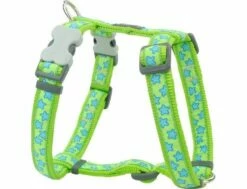 Red Dingo Stars Turquoise Lime Green XL Large Hundegeschirr