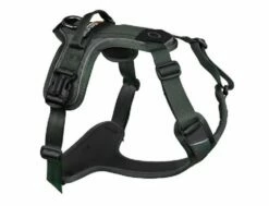 Non-stop Dogwear Hundecheschirr Ramble Grün