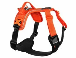Non-stop Dogwear Hundegeschirr Ramble Schwarz-orange
