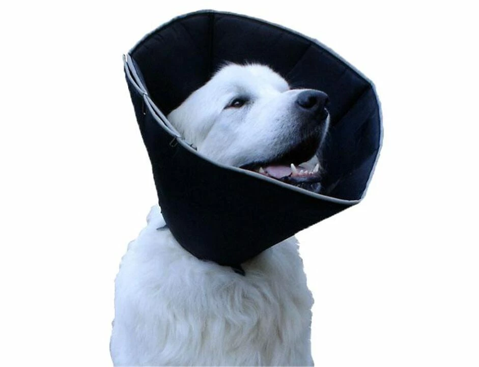 Ochranný Límec Pro Psy 30-38 Cm - M 1 Ochranný Límec Pro Psy 30-38 Cm - M