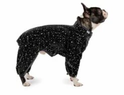 Hunde Overall Stilla Schwarz
