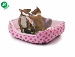 JK Puppy M Bett Rosa